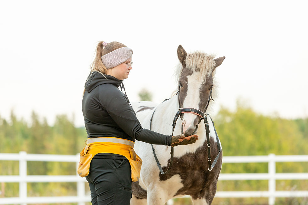 Kopio tiedostosta _DSC5286.jpg