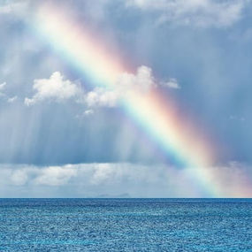 【5章まとめ】人が怖くなくなった理由｜変わったのは人ではなく内側だった