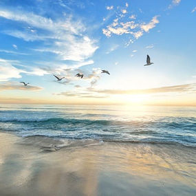 朝焼けの海辺で鳥が飛び立つ風景|忘れ物やケアレスミスを繰り返すメンタルブロックが外れて心が軽くなるイメージ