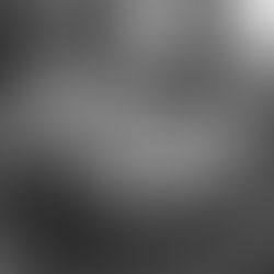 本音に触れない限り現実は動かない