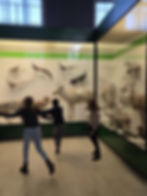 La meraviglia di vedere gli animali visti sui libri e studiati: "Guarda è l'animale della tua ricerca!"