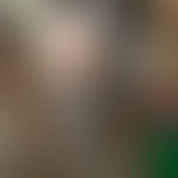 The Prepared Environment