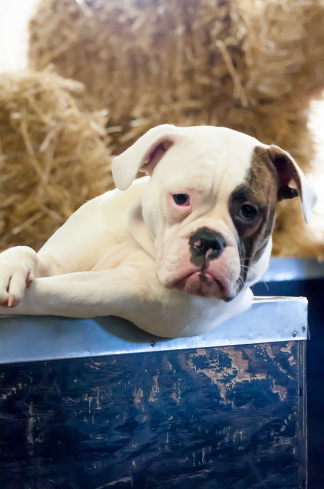 Micromanagement micromanagement