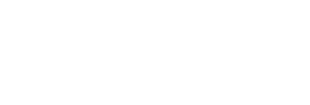 Banco Pan.png