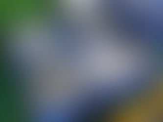 Q4 2025 Raw Material Costs