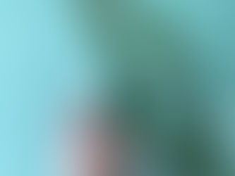 ペイントプラスです！