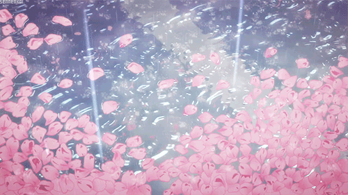 flower-gif-Favim.com-2177807.gif