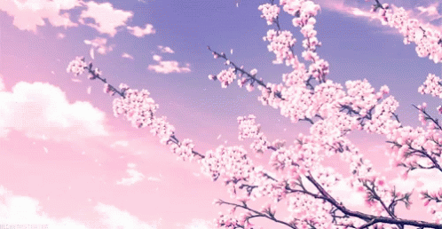 6aeeea24e8fd4023a349e354eefa33ed.gif