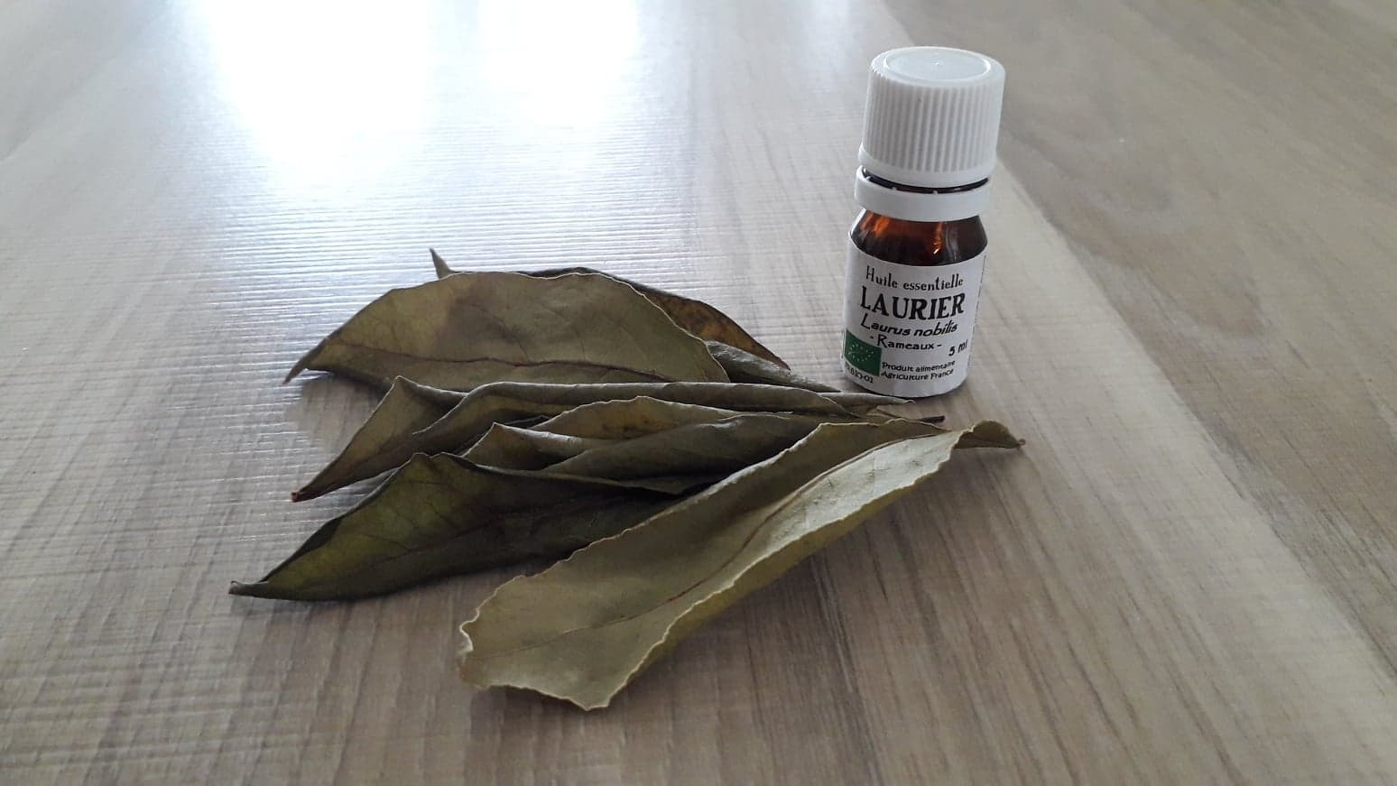 Organic Laurel Leaf Essential Oil