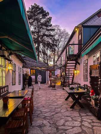 Vienna - Heuriger Zimmerman