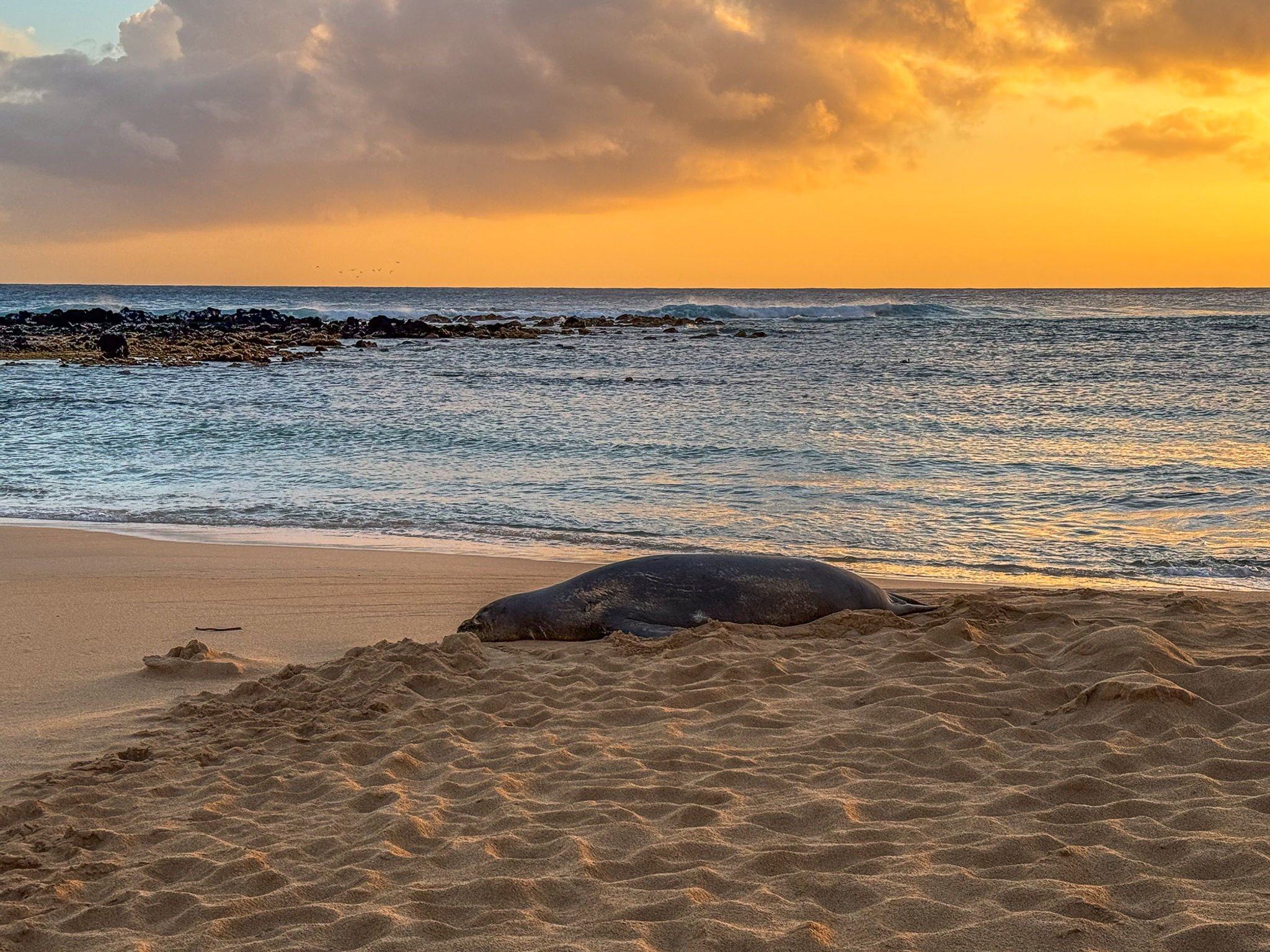 Kauai - Poipu Beach