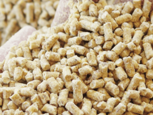Argentina Animal Feed Market Share and Forecast 2026–2035