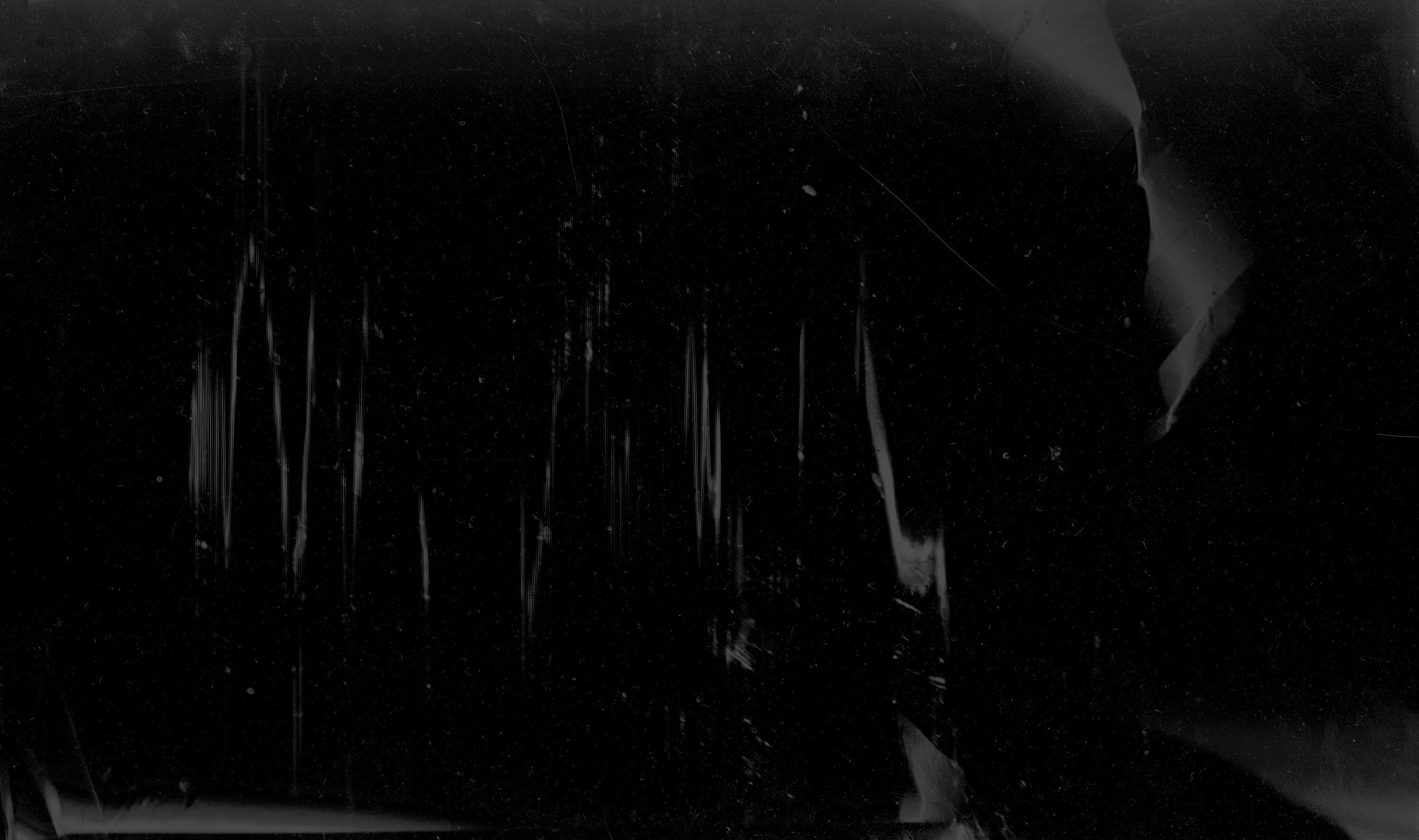 The Ya Ya's Out — photo