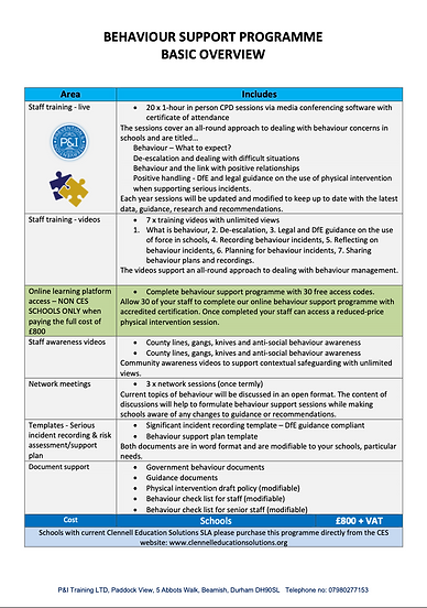 BSP Overview.png