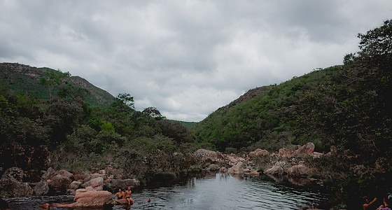 CARNAVALNOCAPÃO2022_DIA01-9640.jpg