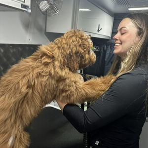 Labradoodle Care 101: Why Grooming, Walking, and Exercise Are Essential for Your Doodle’s Health and Happiness