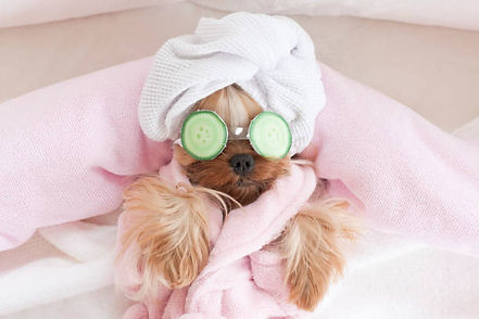 cute spa.jpg