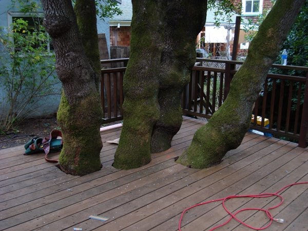 Specialized deck construction built around existing mature trees to preserve landscape.