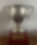 Tom Wilson Memorial Cup