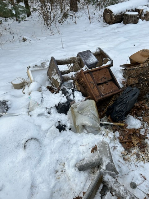 Yard Clean-up 1