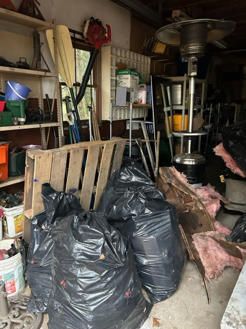 Garage Cleanout 1