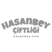 hasanbey logo (1).png