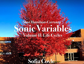 Screenshot 2025-09-21 at 1.38.34 PM.png