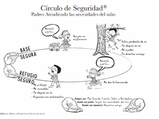 Circulo de seguridad y corregulación en terapia