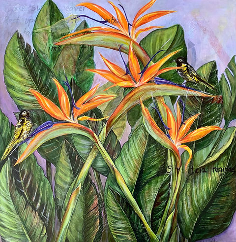 Strelitzia
