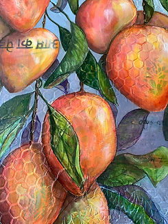 Mangoe detail