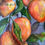 Thumbnail: Mango Tree