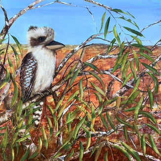eucalyptus gum tree laughing kookaburra