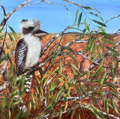eucalyptus gum tree laughing kookaburra