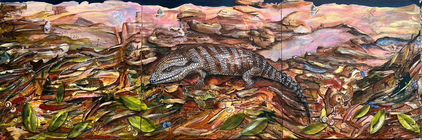 blue tongue skink among rocks and leaves