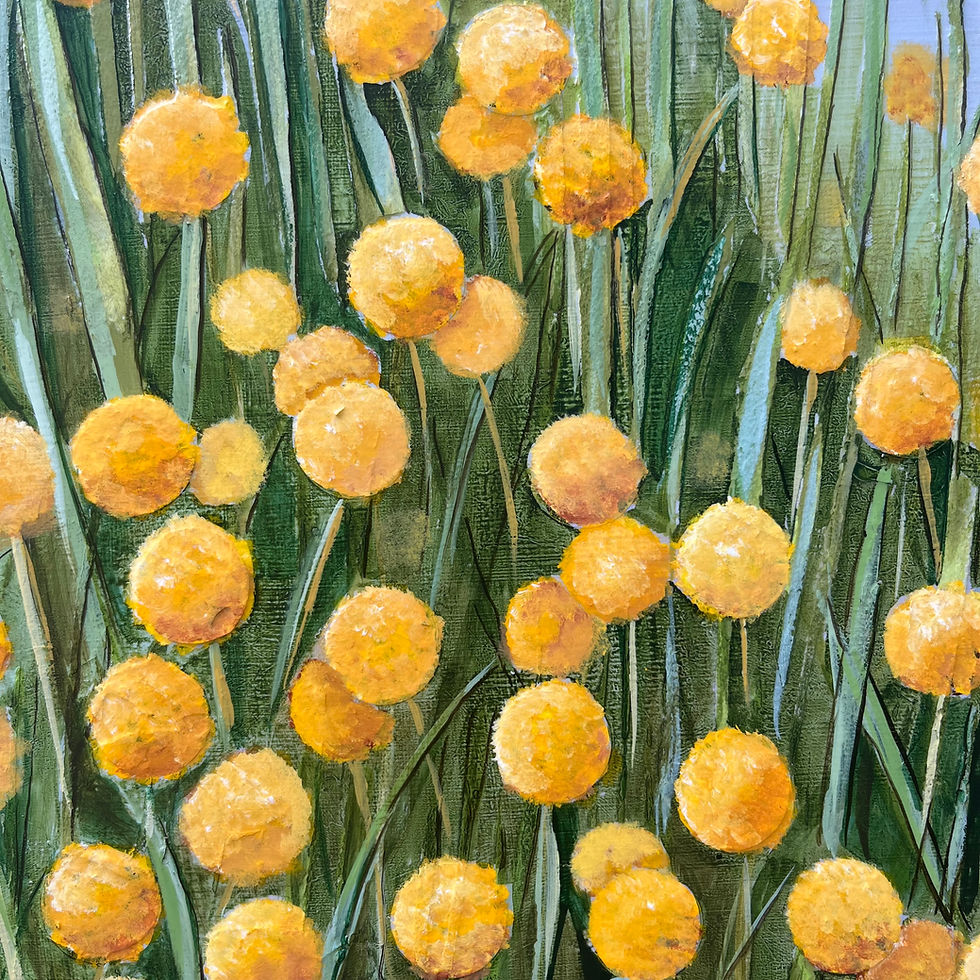 Thumbnail: Billy Buttons