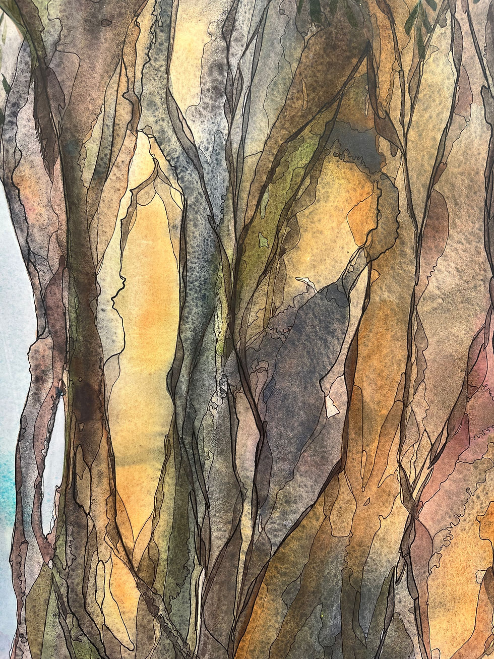 Thumbnail: Shedding My Skin - paperbark