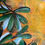 Thumbnail: "Black Cockatoo" Fine Art Print