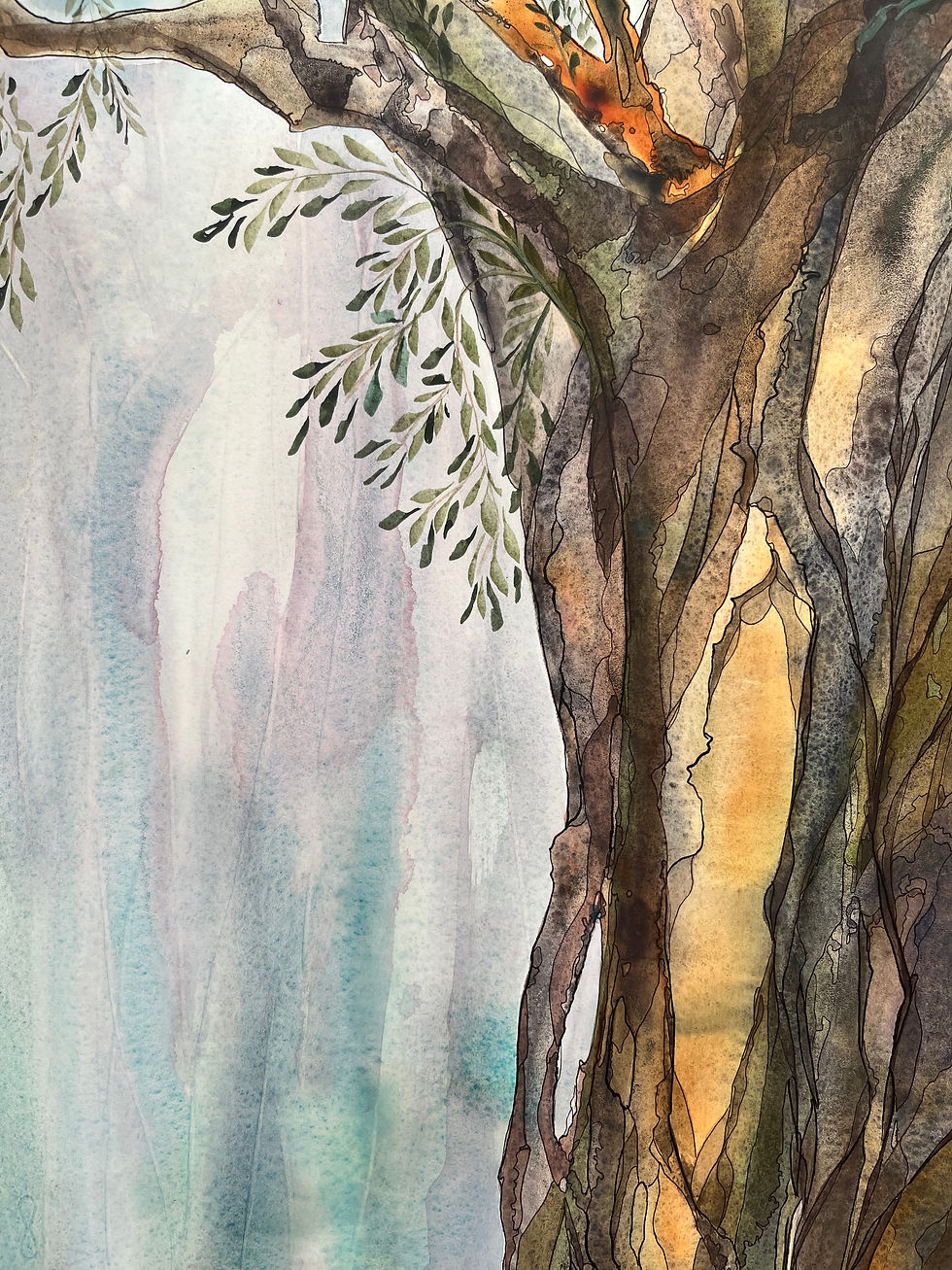 Thumbnail: Shedding My Skin - paperbark