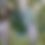Thumbnail: Harmony