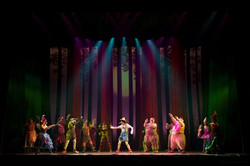 Shrek the Musical