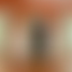 DIPUTADO MARIO ZAMORA Y EMBAJADOR DE TURQUÍA EXPLORAN COOPERACIÓN PARA UN MODELO REGULADO DE PRODUCCIÓN DE OPIOIDES CON FINES MÉDICOS