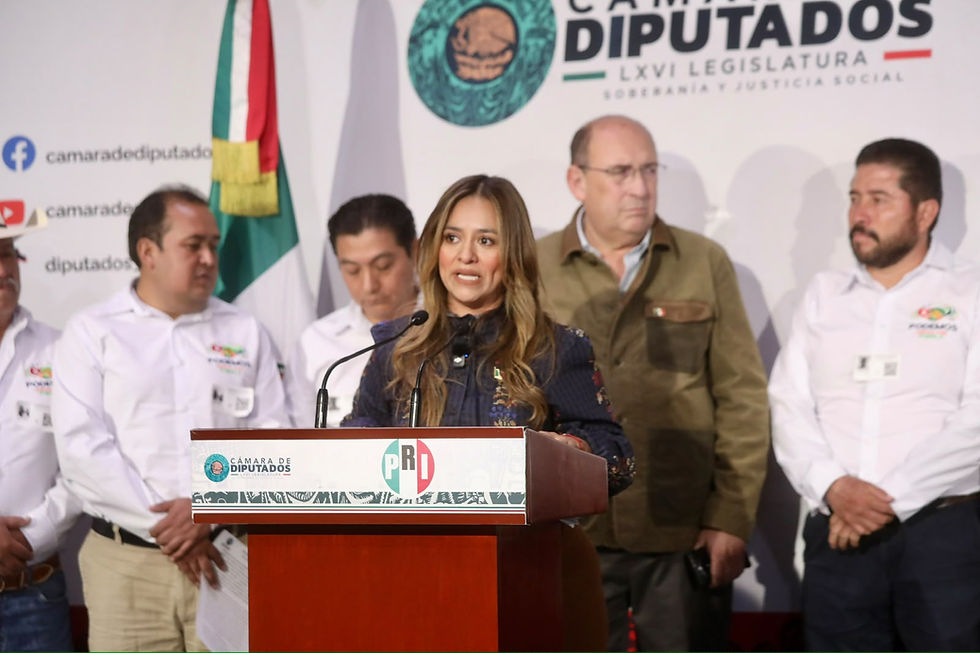 PROMUEVE XITLALIC CEJA GARCÍA RECURSOS JUSTOS PARA LAS JUNTAS AUXILIARES DE PUEBLA
