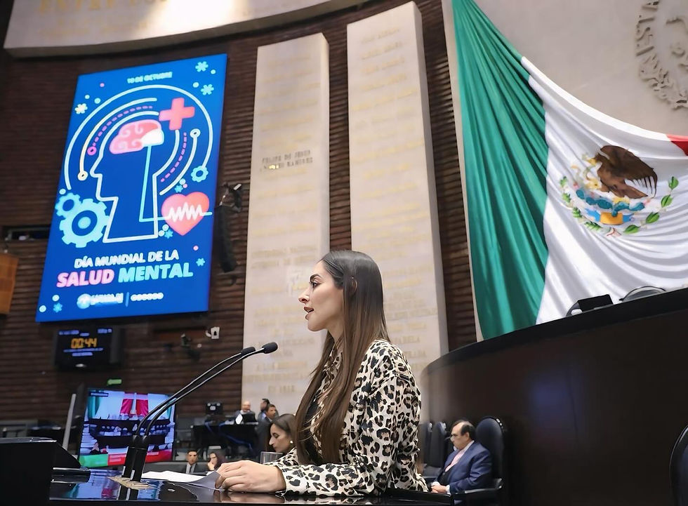 LLAMA DIPUTADA FUENSANTA GUERRERO AL CONGRESO DE LA UNIÓN A LEGISLAR PARA GARANTIZAR CUIDADO DE LA SALUD MENTAL