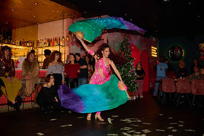 bellydancer-fanveil.jpg