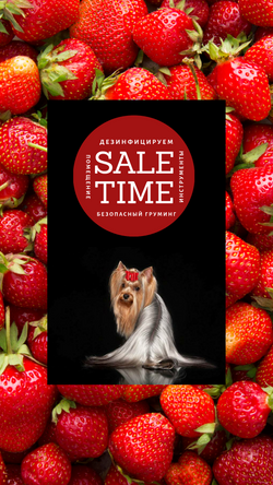 prohvostikiru_angelskui.com