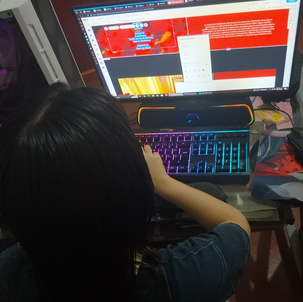 Elaboración del Sitio Web