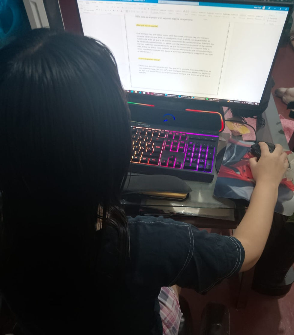 Elaboración del Diario de Clases