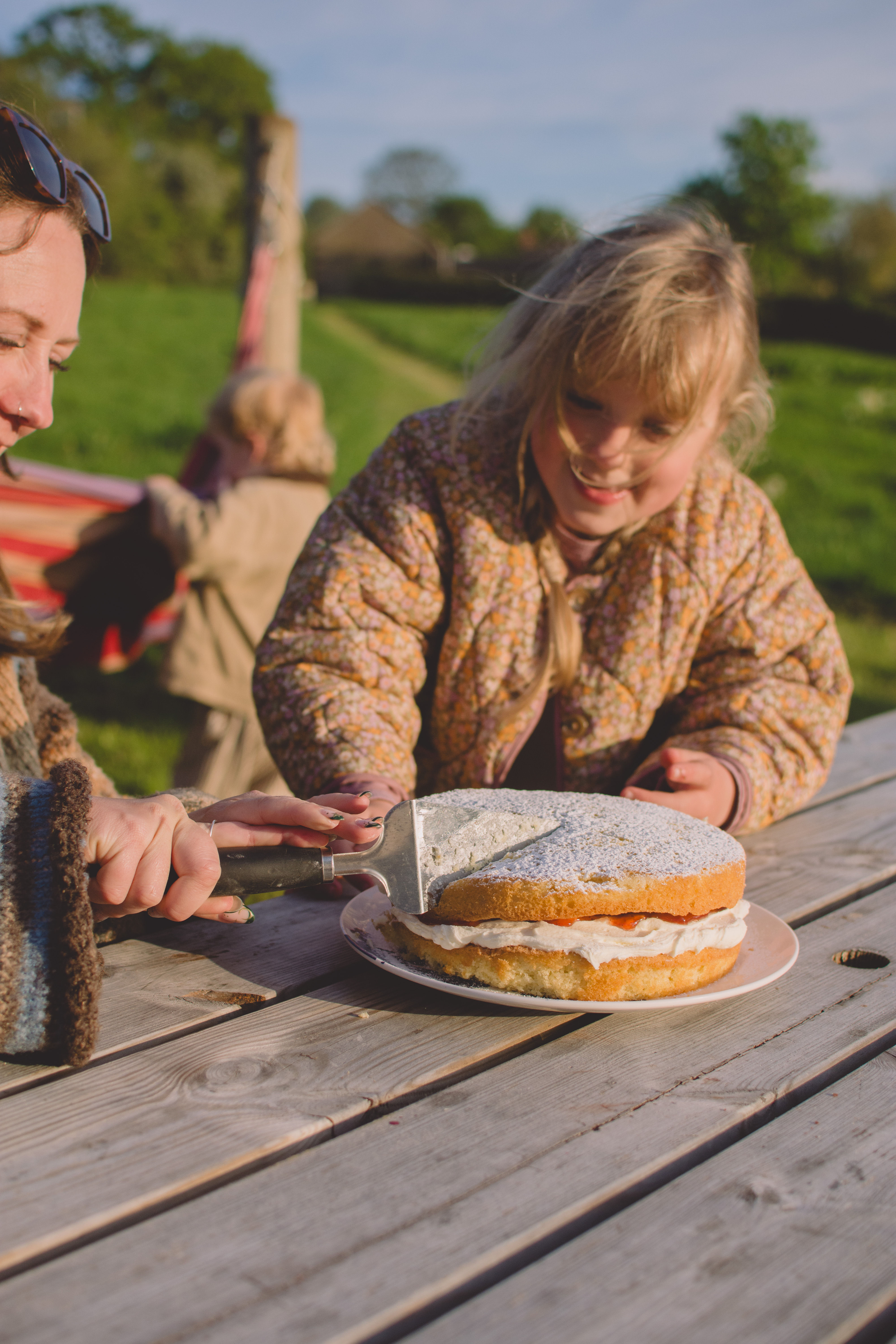 Celebration cake - Victoria Sponge