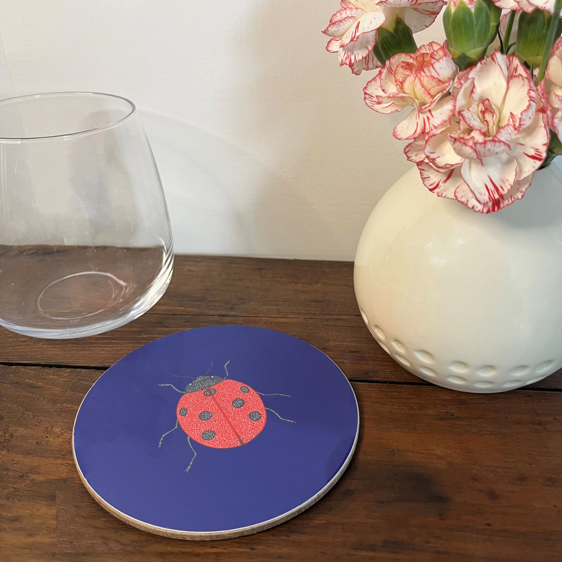 Ladybird Coaster