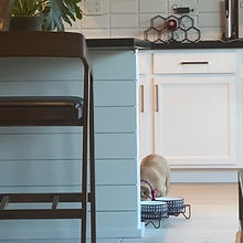 Las Vegas Light Carpentry Service